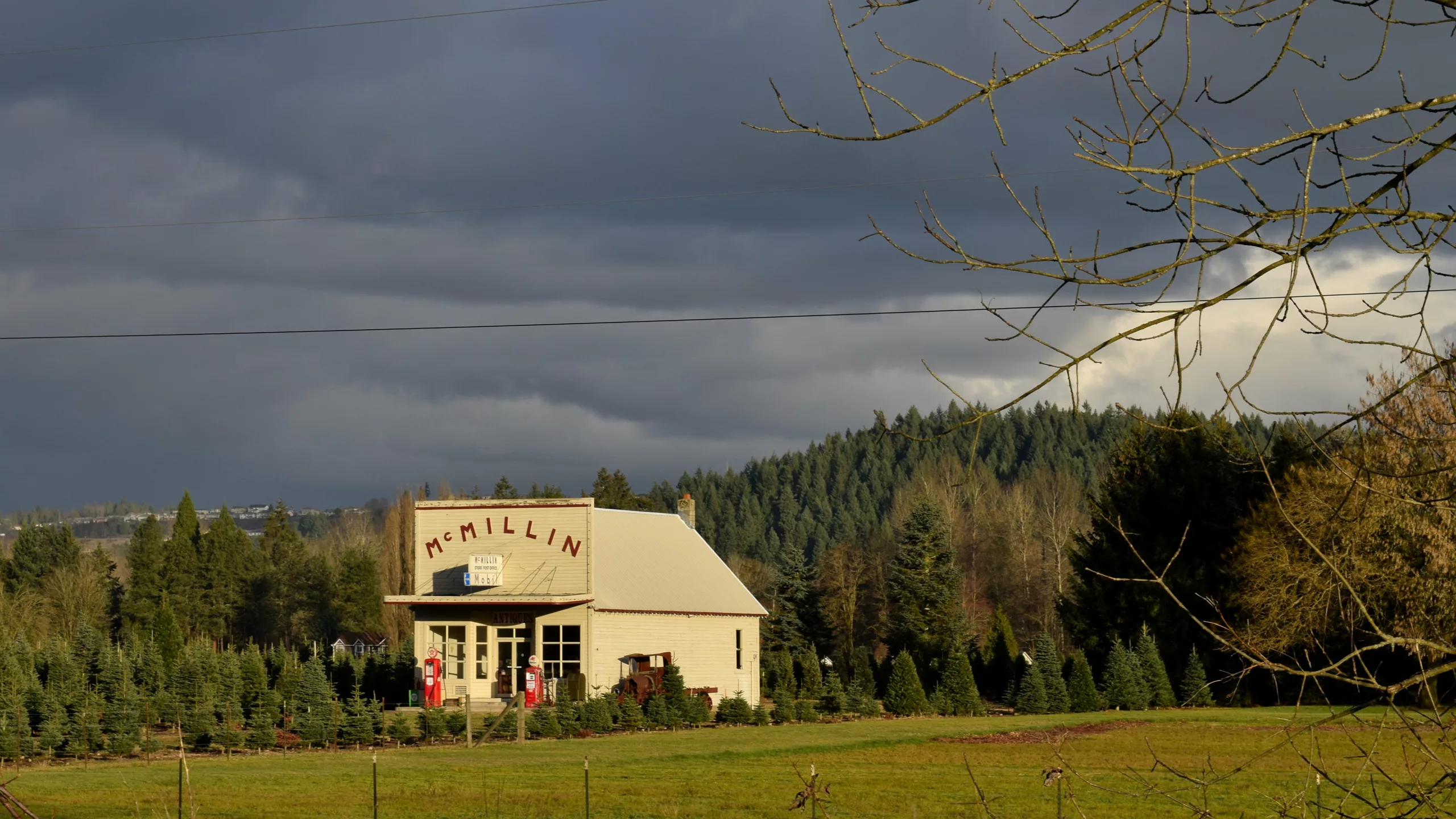 A historic antique store christmas tree farm stormy sky McMillin, WA