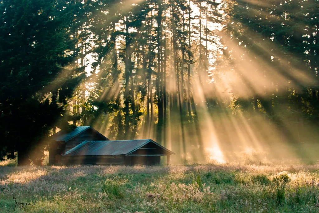 A house and sunset in the middle of the forest Roy, WA
