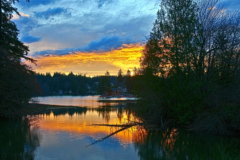 A sunset over lake washington pacific northwest scenic view Artondale, WA