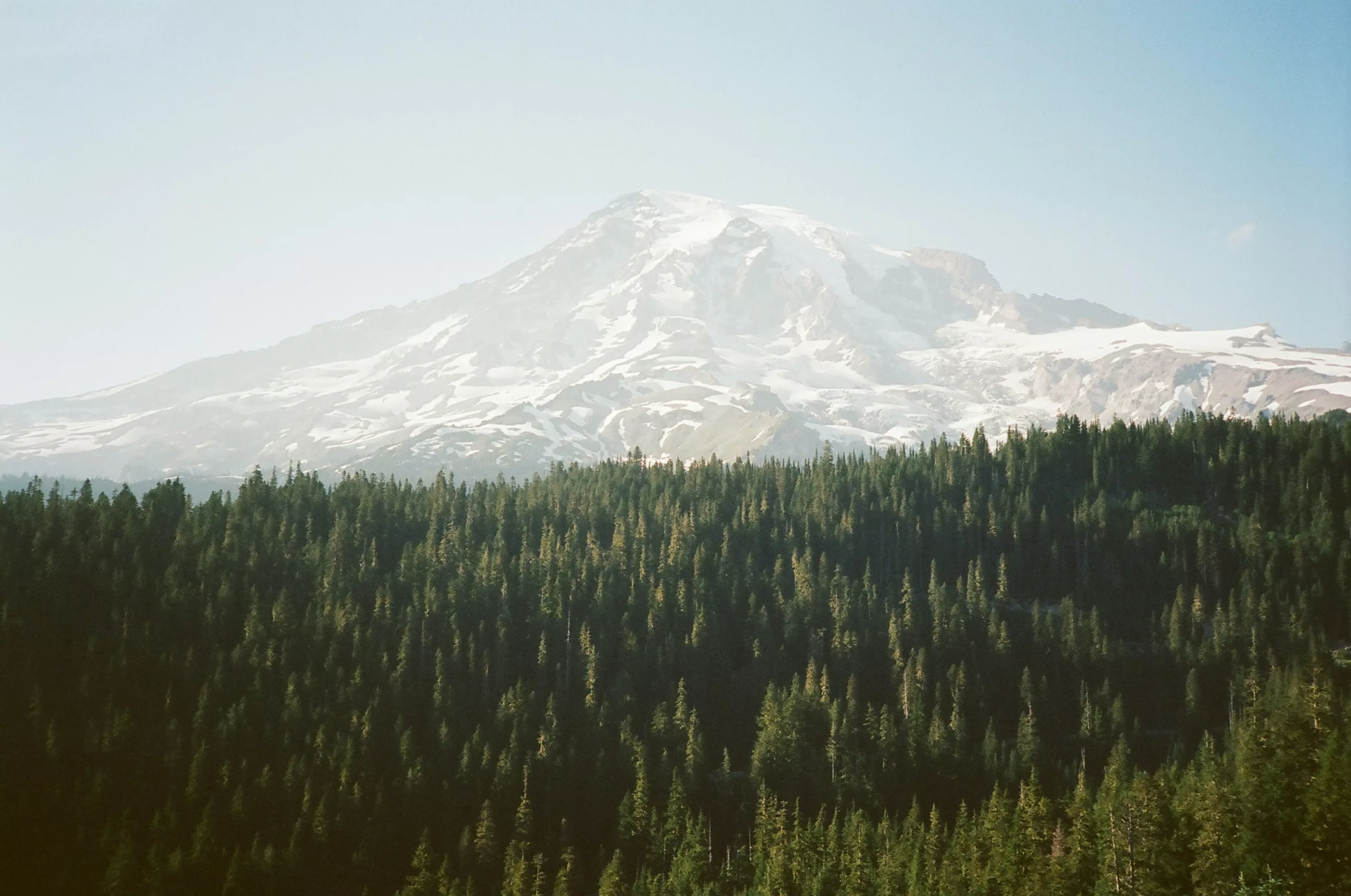 A view of Mount Rainier Ashford, WA