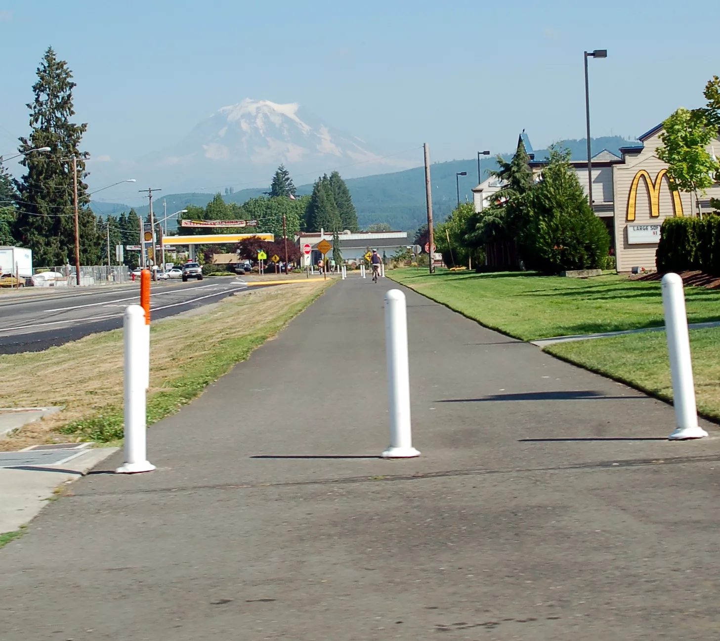 An empty road  with the trees alongside Orting, WA