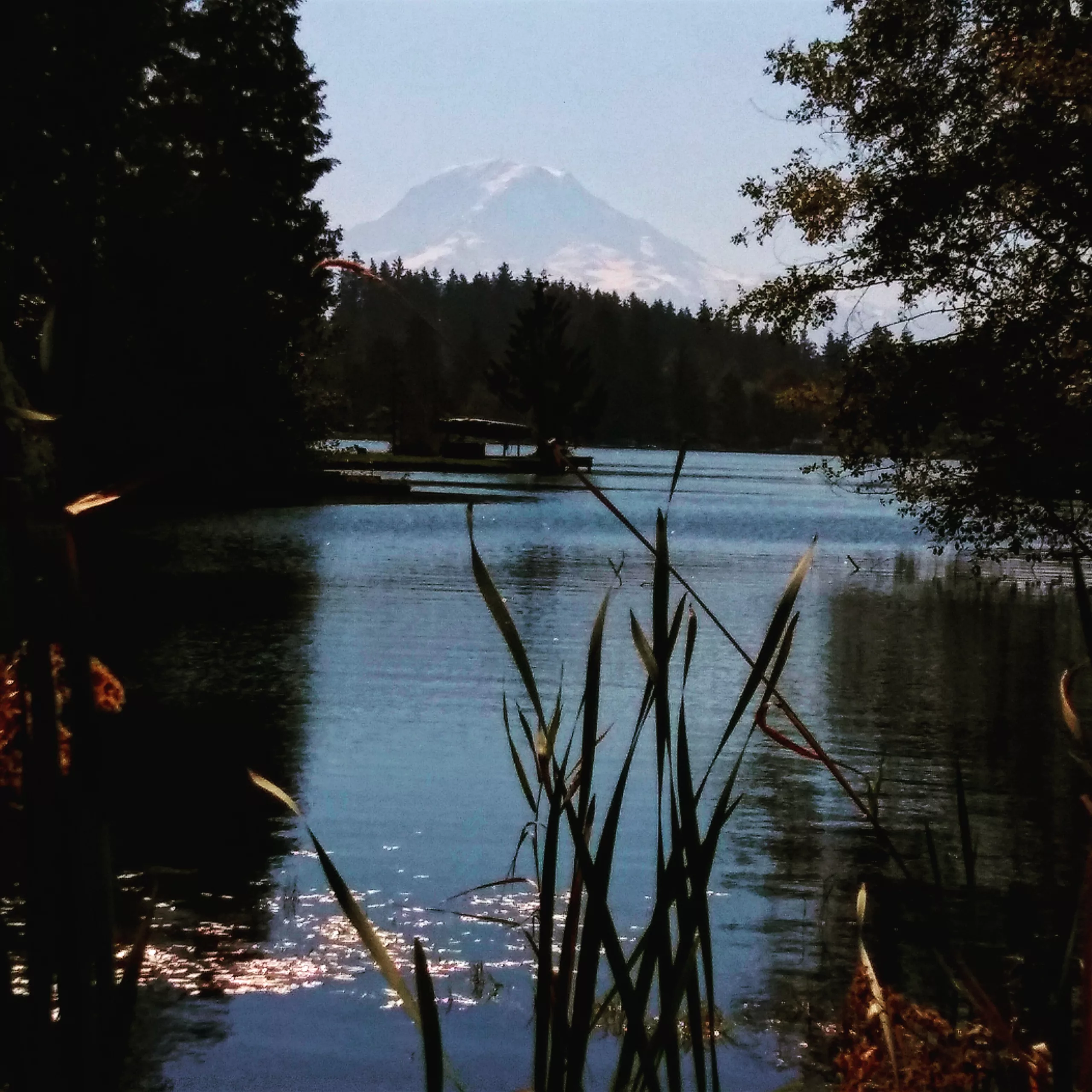 Mount rainier view lake cattails washington sunset Prairie Ridge, WA